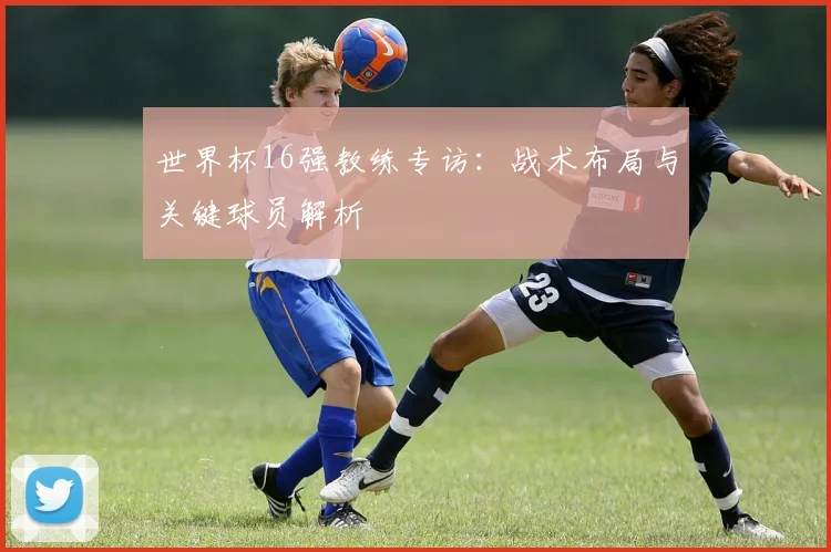 世界杯16强教练专访：战术布局与关键球员解析