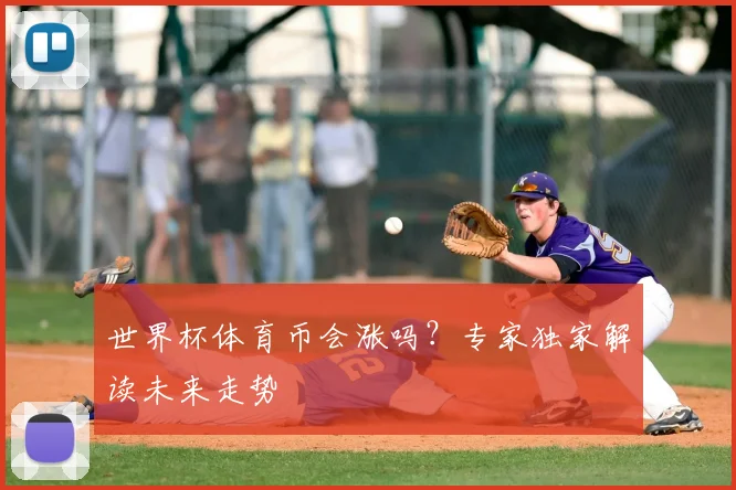 世界杯体育币会涨吗?专家独家解读未来走势