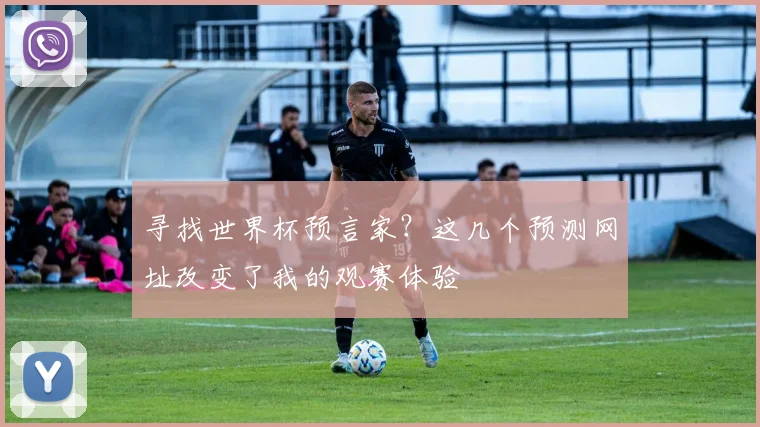寻找世界杯预言家?这几个预测网址改变了我的观赛体验