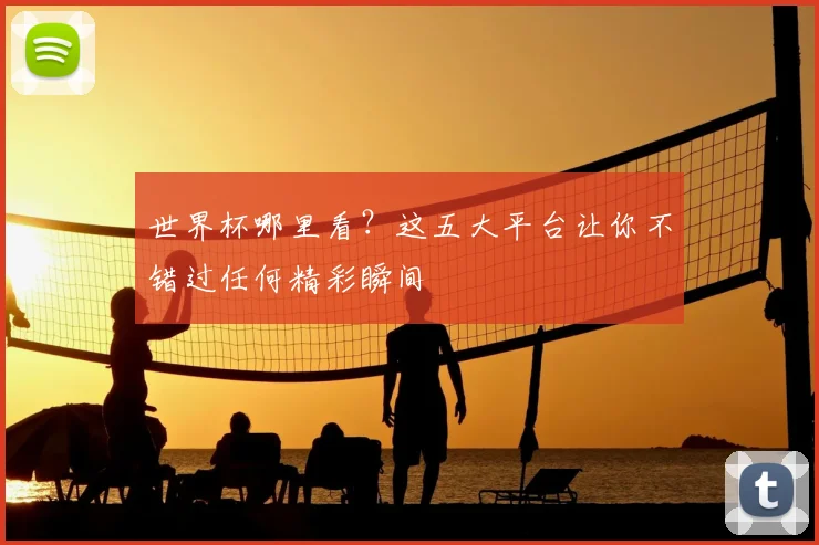 世界杯哪里看？这五大平台让你不错过任何精彩瞬间