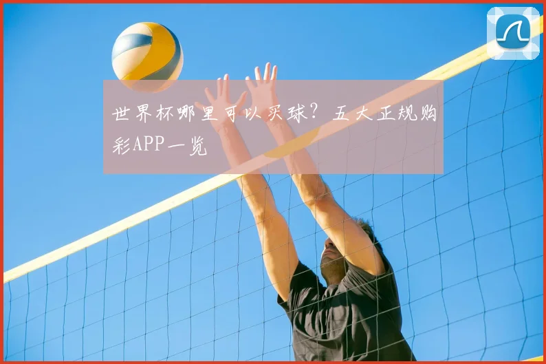 世界杯哪里可以买球？五大正规购彩APP一览