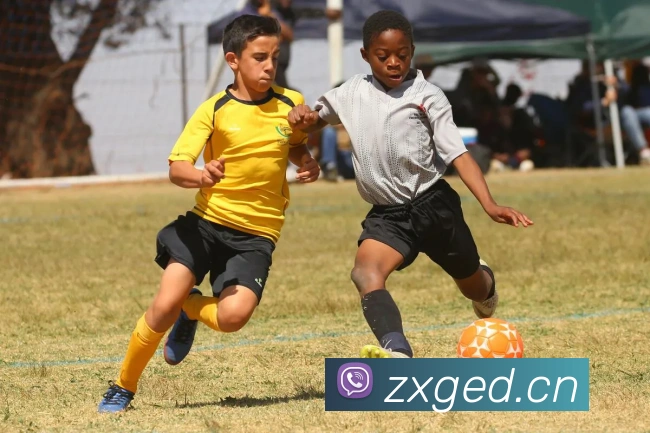 App Interface Preview