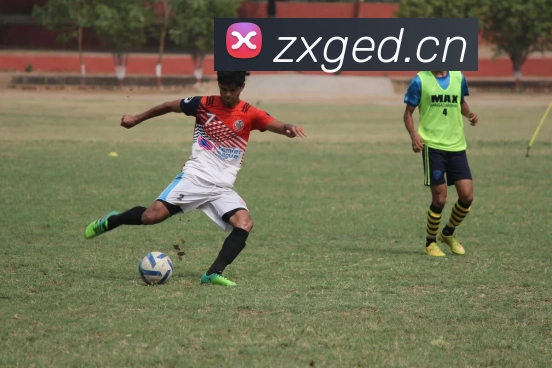 米兰米兰体育官网登录入口APP 封面图